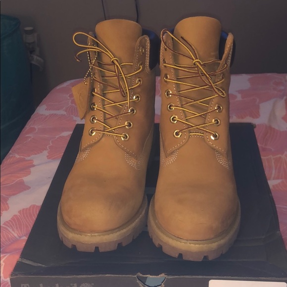Wheat timberlands main image 5